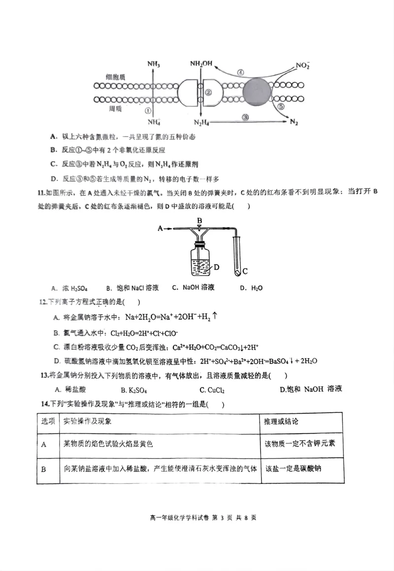 化学_2024年11月试卷_1125海南省先锋联盟2024-2025学年高一上学期11月期中考试_海南省先锋联盟2024-2025学年高一上学期11月期中考试化学试题含答案