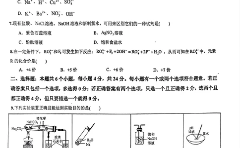化学_2024年11月试卷_1125海南省先锋联盟2024-2025学年高一上学期11月期中考试_海南省先锋联盟2024-2025学年高一上学期11月期中考试化学试题含答案