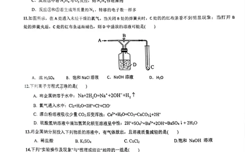 化学_2024年11月试卷_1125海南省先锋联盟2024-2025学年高一上学期11月期中考试_海南省先锋联盟2024-2025学年高一上学期11月期中考试化学试题含答案