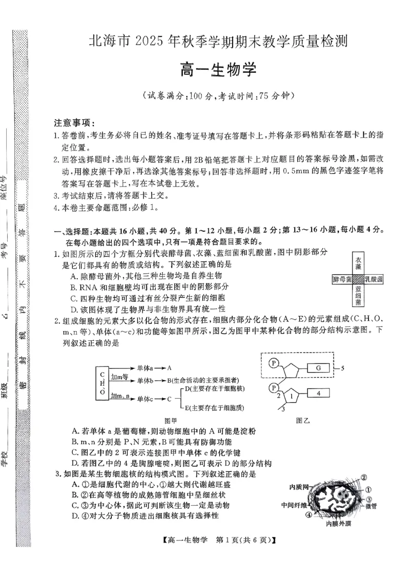 北海2025-2026秋季期末高一生物试卷_2026年02月高一试卷_260210广西壮族自治区北海市2025-2026学年高一上学期期末教学质量检测（全）
