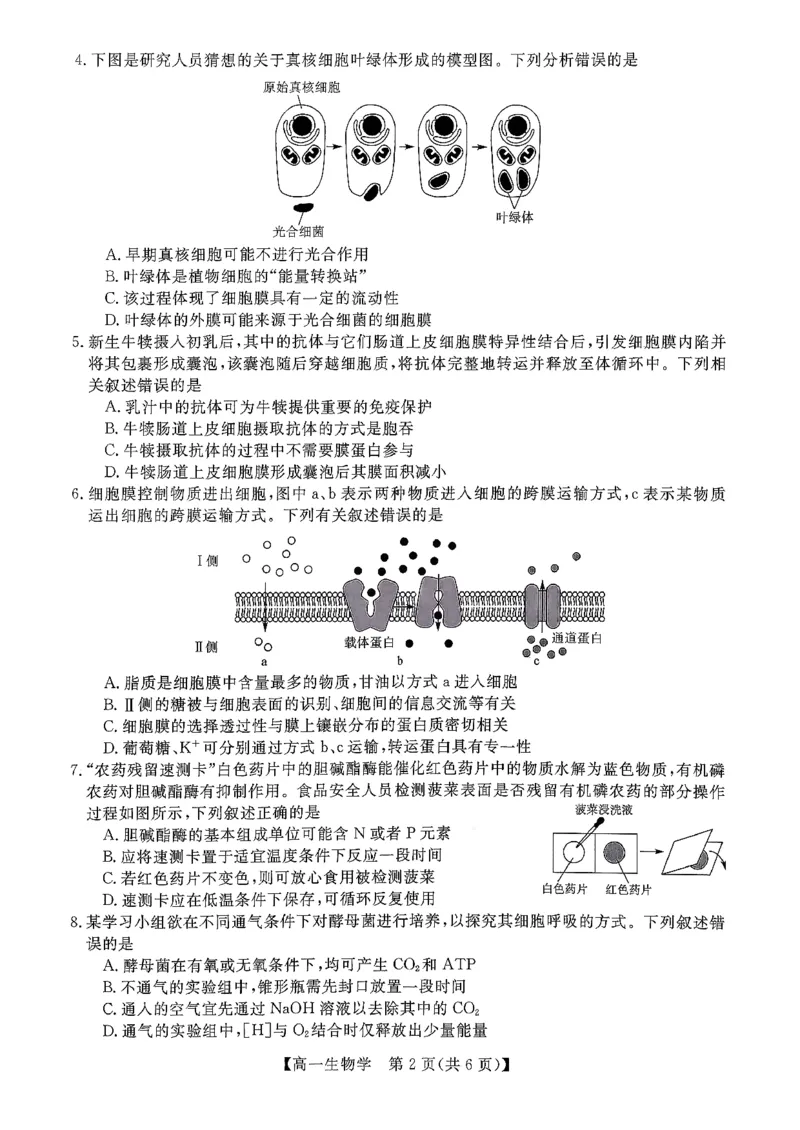 北海2025-2026秋季期末高一生物试卷_2026年02月高一试卷_260210广西壮族自治区北海市2025-2026学年高一上学期期末教学质量检测（全）