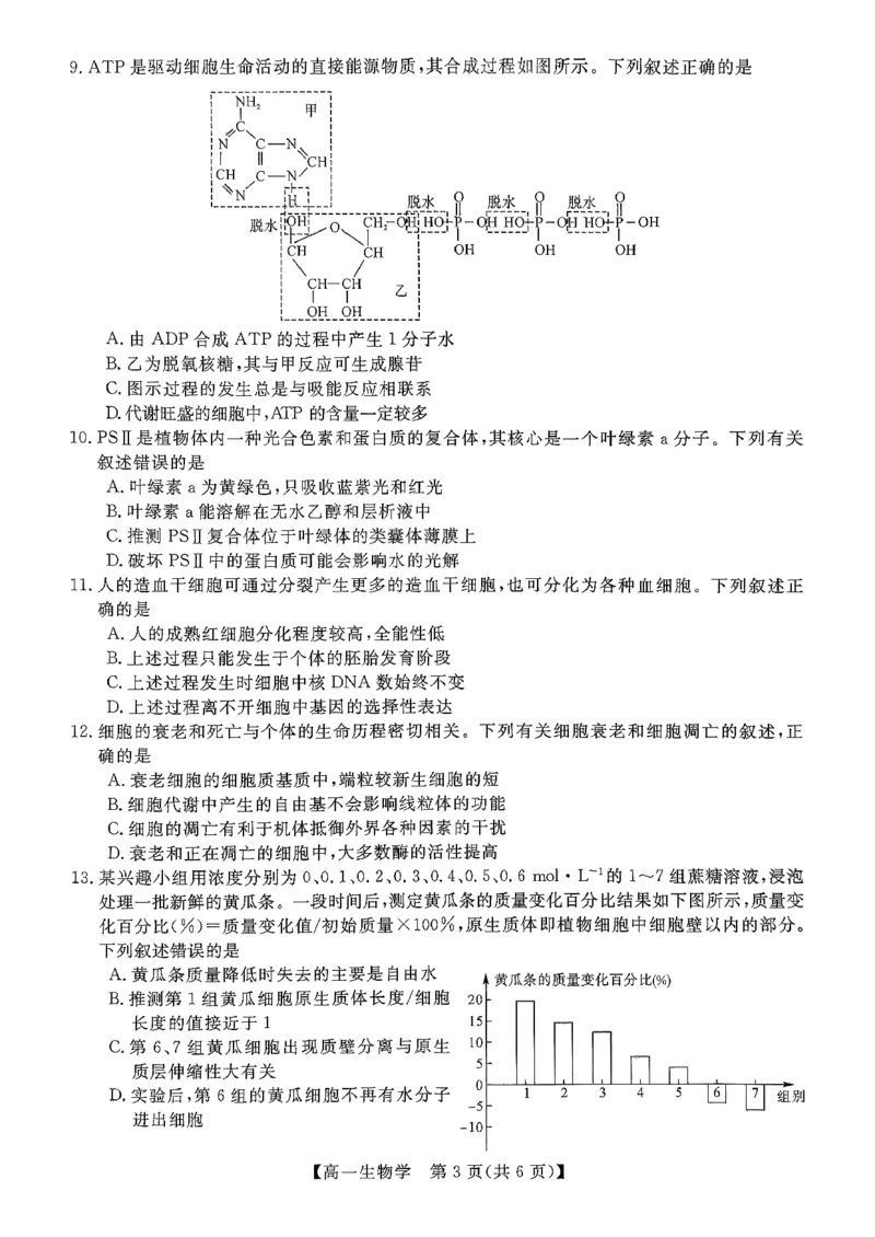 北海2025-2026秋季期末高一生物试卷_2026年02月高一试卷_260210广西壮族自治区北海市2025-2026学年高一上学期期末教学质量检测（全）