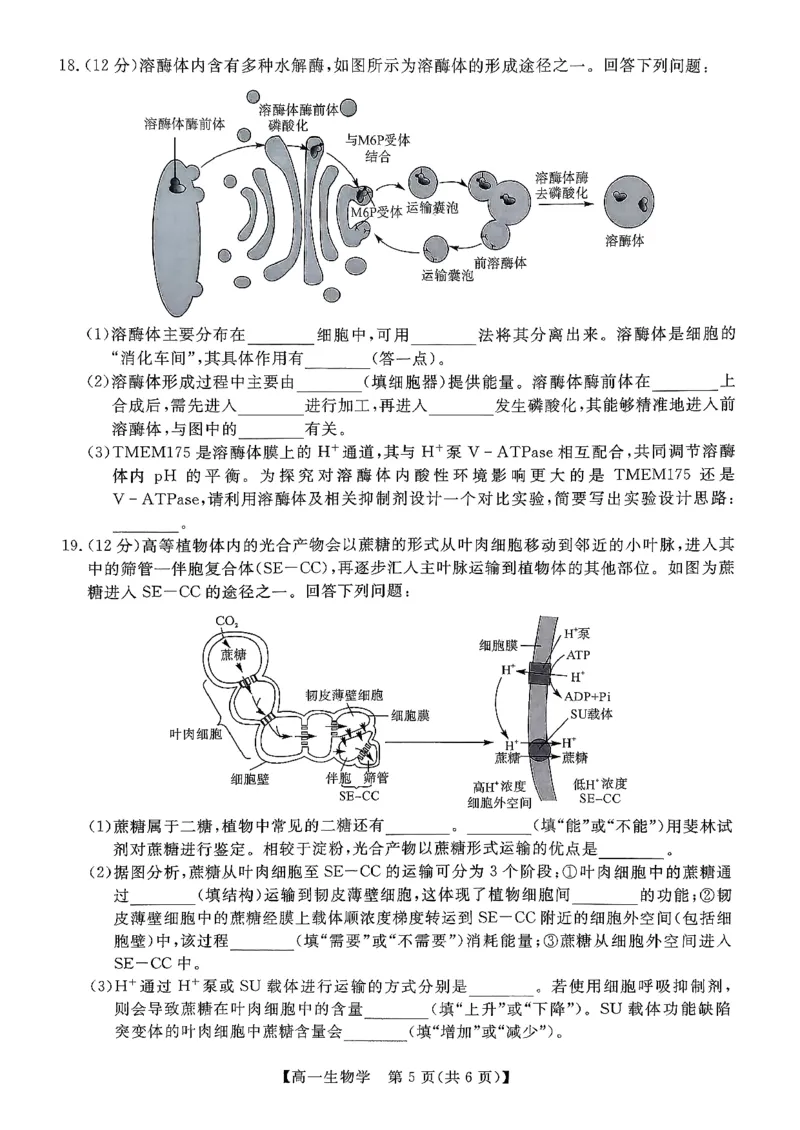 北海2025-2026秋季期末高一生物试卷_2026年02月高一试卷_260210广西壮族自治区北海市2025-2026学年高一上学期期末教学质量检测（全）