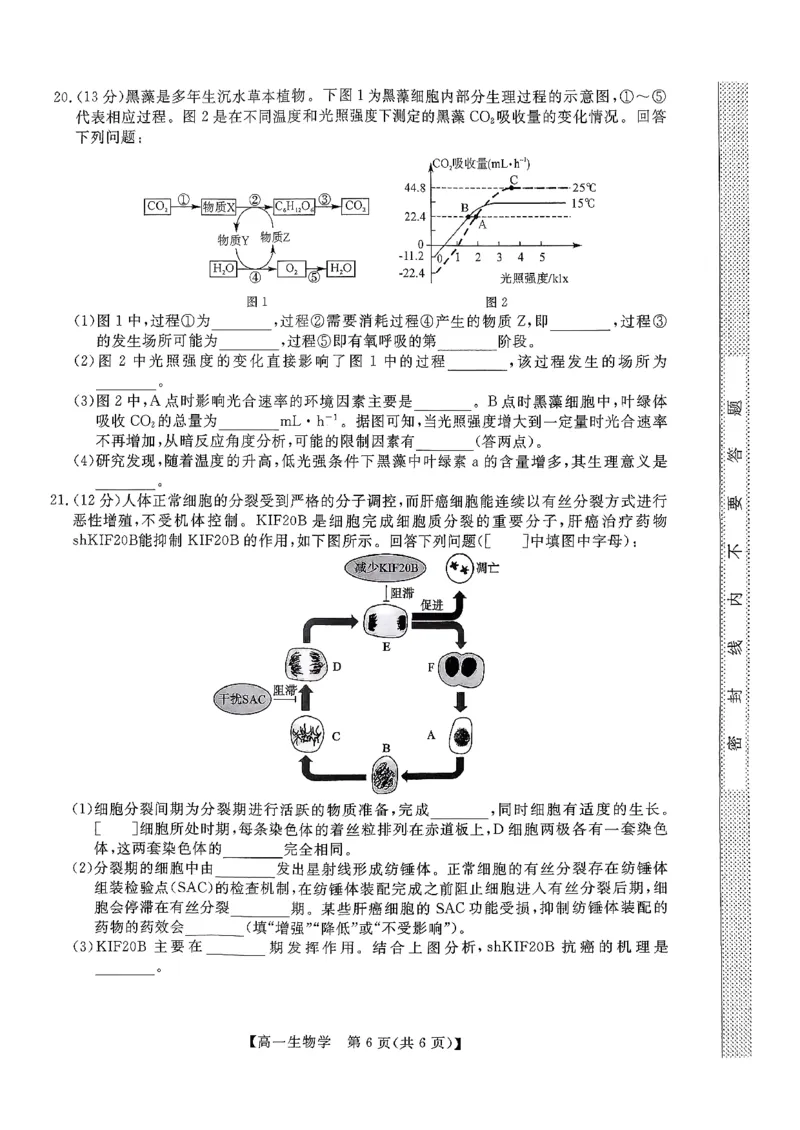 北海2025-2026秋季期末高一生物试卷_2026年02月高一试卷_260210广西壮族自治区北海市2025-2026学年高一上学期期末教学质量检测（全）