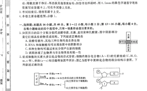 北海2025-2026秋季期末高一生物试卷_2026年02月高一试卷_260210广西壮族自治区北海市2025-2026学年高一上学期期末教学质量检测（全）