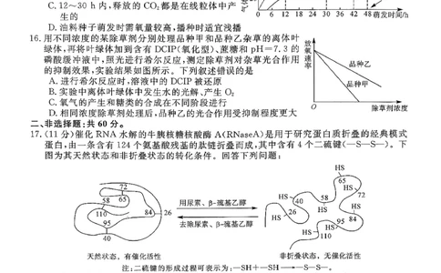 北海2025-2026秋季期末高一生物试卷_2026年02月高一试卷_260210广西壮族自治区北海市2025-2026学年高一上学期期末教学质量检测（全）