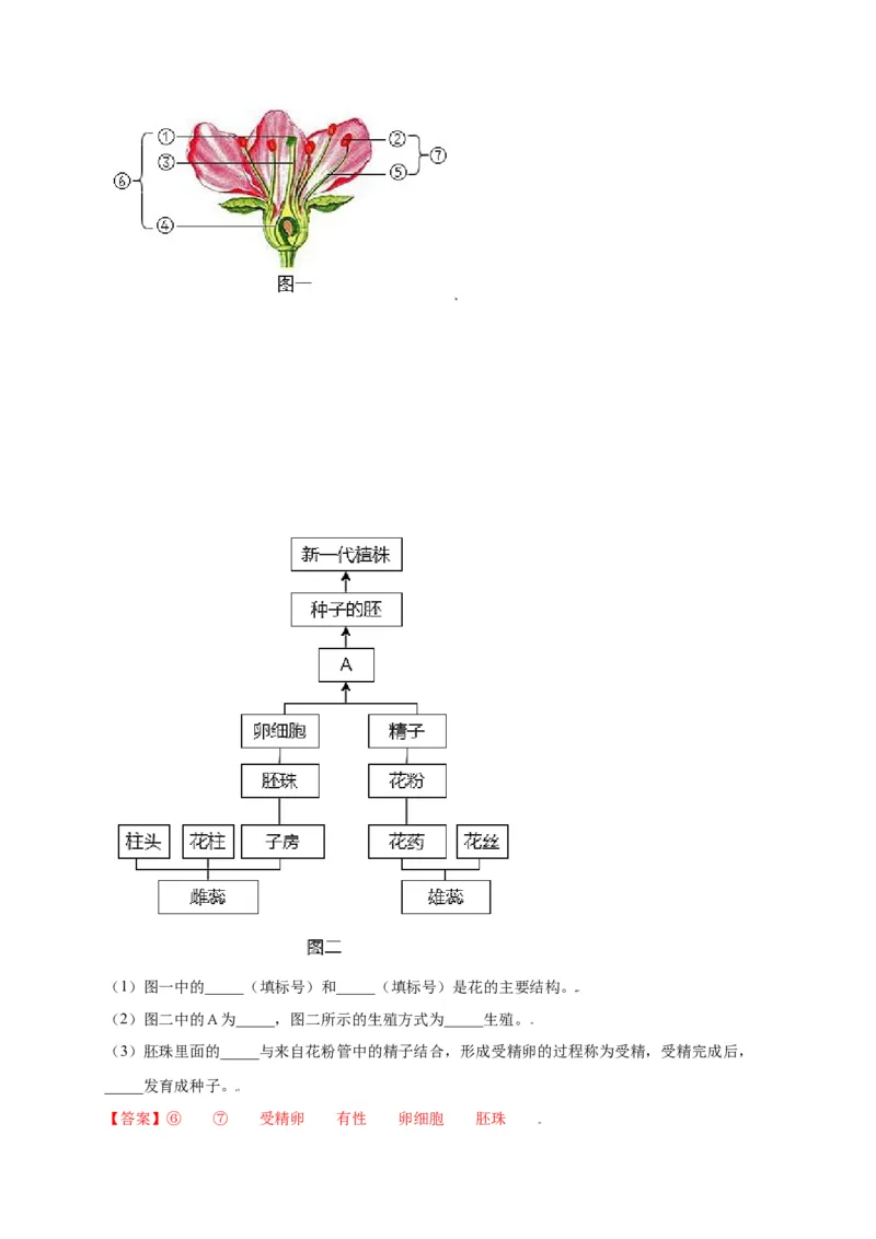 第3单元（第2章）被子植物的一生（选拔卷）（人教版）（解析版）_初中全科电子版试卷练习试题_生物_生物人教版7上练习&mdash;24新版已更新_人教生物7年级上单元试卷36份