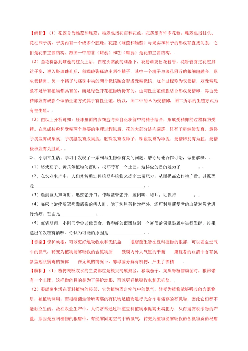 第3单元（第2章）被子植物的一生（选拔卷）（人教版）（解析版）_初中全科电子版试卷练习试题_生物_生物人教版7上练习&mdash;24新版已更新_人教生物7年级上单元试卷36份