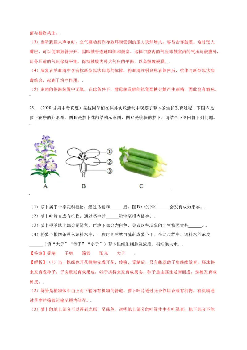 第3单元（第2章）被子植物的一生（选拔卷）（人教版）（解析版）_初中全科电子版试卷练习试题_生物_生物人教版7上练习&mdash;24新版已更新_人教生物7年级上单元试卷36份