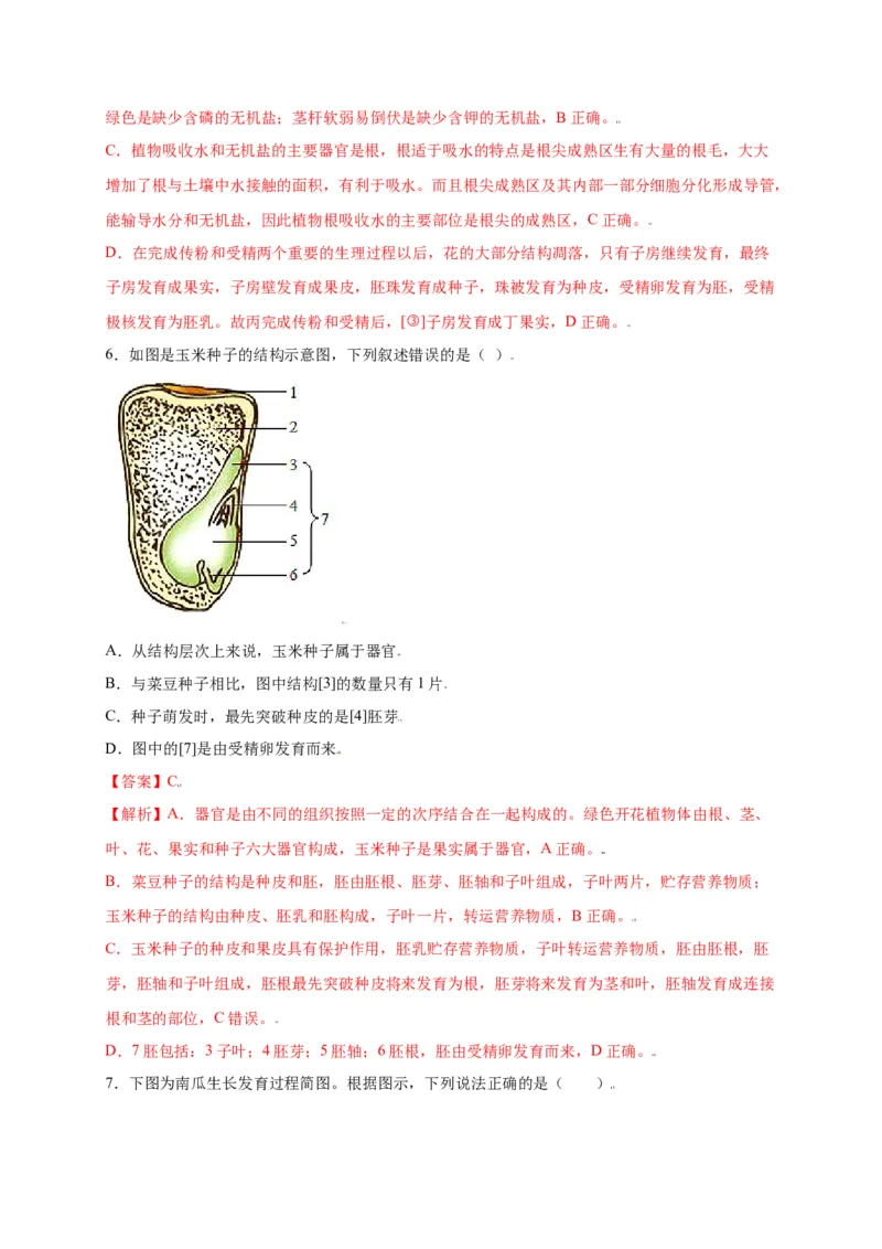 第3单元（第2章）被子植物的一生（选拔卷）（人教版）（解析版）_初中全科电子版试卷练习试题_生物_生物人教版7上练习&mdash;24新版已更新_人教生物7年级上单元试卷36份