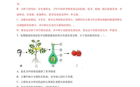 第3单元（第2章）被子植物的一生（选拔卷）（人教版）（解析版）_初中全科电子版试卷练习试题_生物_生物人教版7上练习&mdash;24新版已更新_人教生物7年级上单元试卷36份