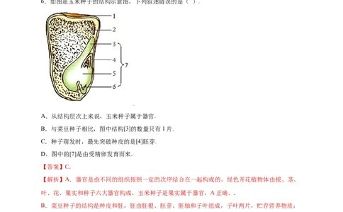 第3单元（第2章）被子植物的一生（选拔卷）（人教版）（解析版）_初中全科电子版试卷练习试题_生物_生物人教版7上练习&mdash;24新版已更新_人教生物7年级上单元试卷36份
