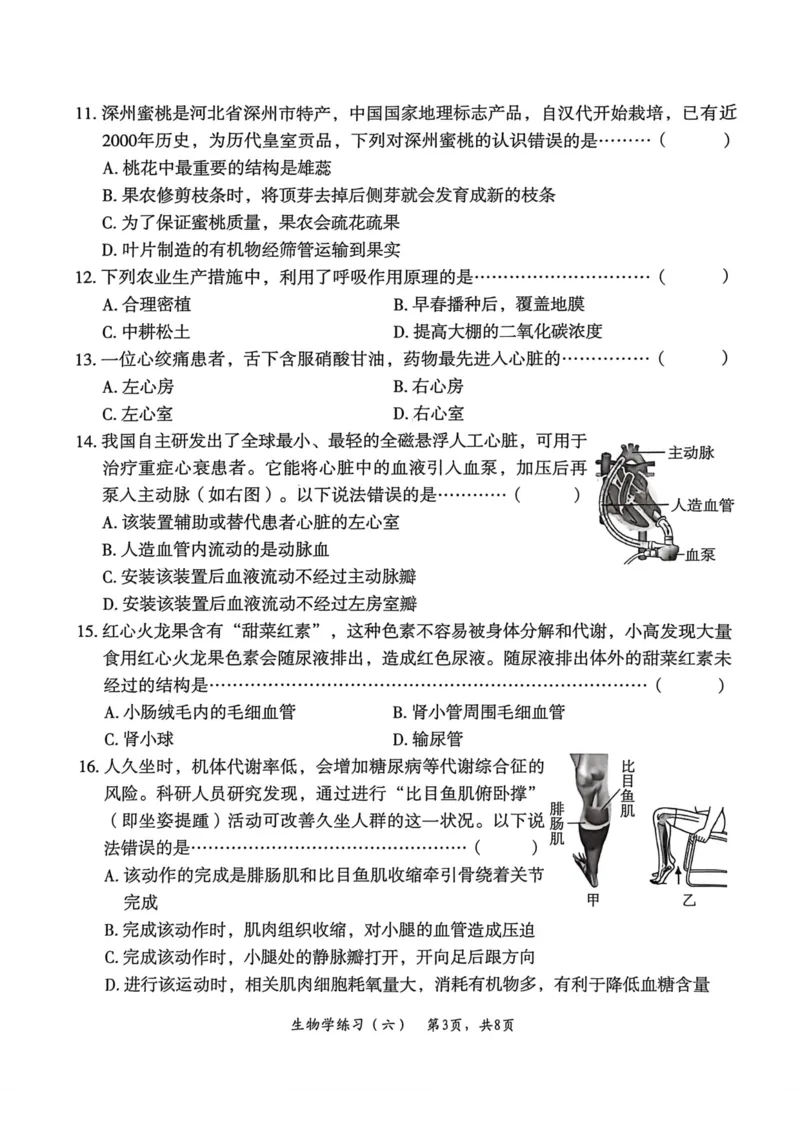 26年麒麟卷生物学（六）_2026河北麒麟卷生物