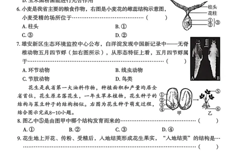 26年麒麟卷生物学（六）_2026河北麒麟卷生物