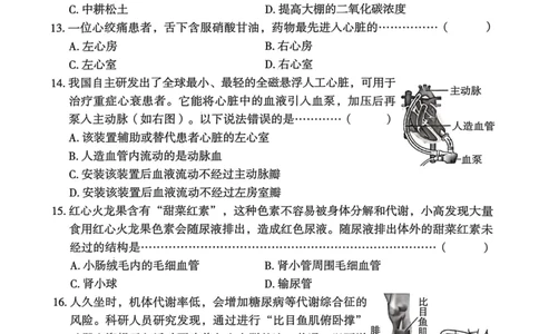 26年麒麟卷生物学（六）_2026河北麒麟卷生物