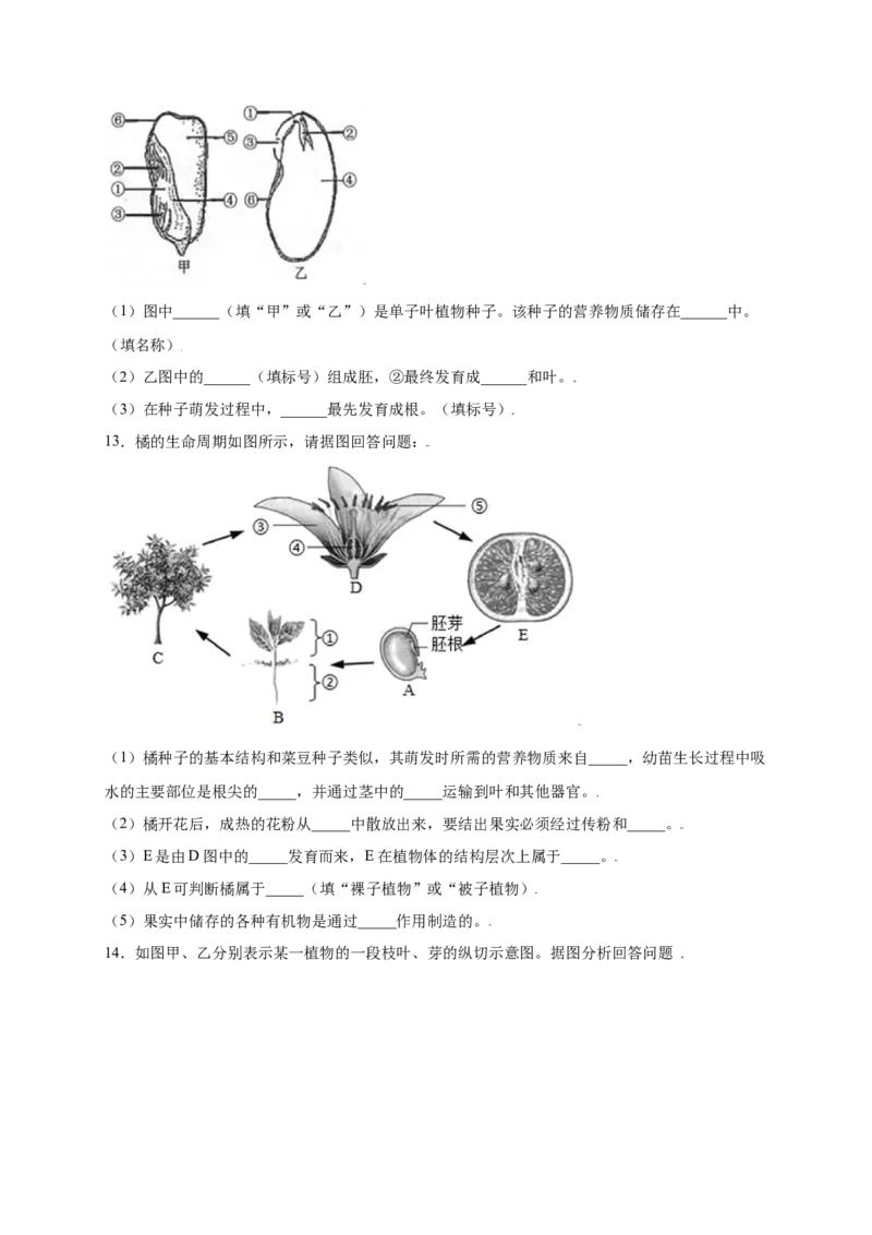第3单元（第2章）被子植物的一生（提分小卷）（人教版）（原卷版）_初中全科电子版试卷练习试题_生物_生物人教版7上练习&mdash;24新版已更新_人教生物7年级上单元试卷36份