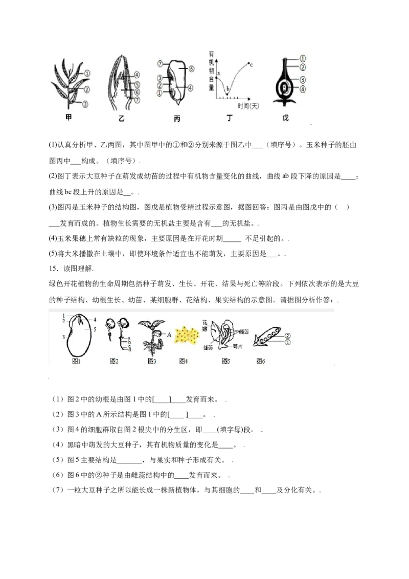 第3单元（第2章）被子植物的一生（提分小卷）（人教版）（原卷版）_初中全科电子版试卷练习试题_生物_生物人教版7上练习&mdash;24新版已更新_人教生物7年级上单元试卷36份