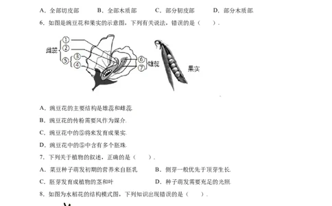 第3单元（第2章）被子植物的一生（提分小卷）（人教版）（原卷版）_初中全科电子版试卷练习试题_生物_生物人教版7上练习&mdash;24新版已更新_人教生物7年级上单元试卷36份