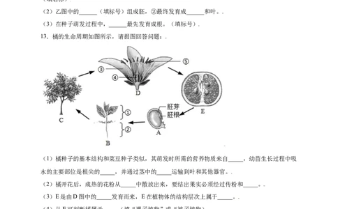 第3单元（第2章）被子植物的一生（提分小卷）（人教版）（原卷版）_初中全科电子版试卷练习试题_生物_生物人教版7上练习&mdash;24新版已更新_人教生物7年级上单元试卷36份
