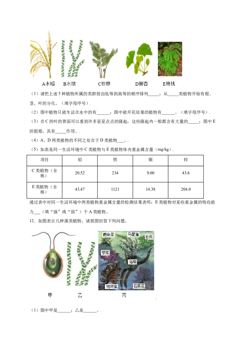 第3单元（第1章）生物圈中有哪些绿色植物（提分小卷）（人教版）（原卷版）_初中全科电子版试卷练习试题_生物_生物人教版7上练习&mdash;24新版已更新