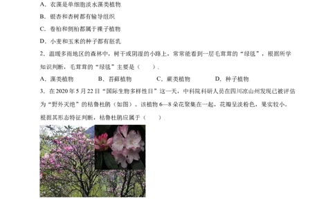 第3单元（第1章）生物圈中有哪些绿色植物（提分小卷）（人教版）（原卷版）_初中全科电子版试卷练习试题_生物_生物人教版7上练习&mdash;24新版已更新