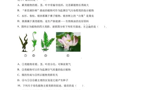 第3单元（第1章）生物圈中有哪些绿色植物（提分小卷）（人教版）（原卷版）_初中全科电子版试卷练习试题_生物_生物人教版7上练习&mdash;24新版已更新