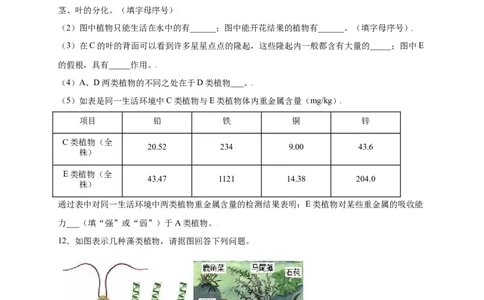 第3单元（第1章）生物圈中有哪些绿色植物（提分小卷）（人教版）（原卷版）_初中全科电子版试卷练习试题_生物_生物人教版7上练习&mdash;24新版已更新