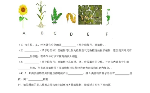 第3单元（第1章）生物圈中有哪些绿色植物（提分小卷）（人教版）（原卷版）_初中全科电子版试卷练习试题_生物_生物人教版7上练习&mdash;24新版已更新