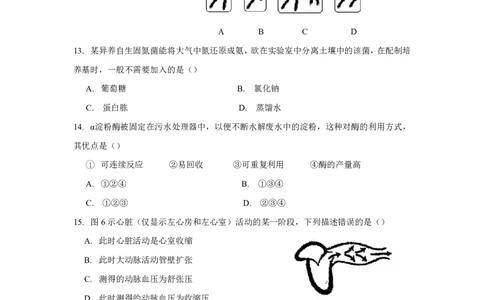 2018年上海市高考生物试题_0122026上海中考一模二模真题试卷_2026年上海一模_上海1500初中高中试卷_高中_高考真题_6.上海高考生物2023-2014