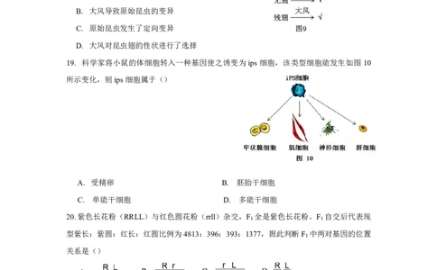 2018年上海市高考生物试题_0122026上海中考一模二模真题试卷_2026年上海一模_上海1500初中高中试卷_高中_高考真题_6.上海高考生物2023-2014