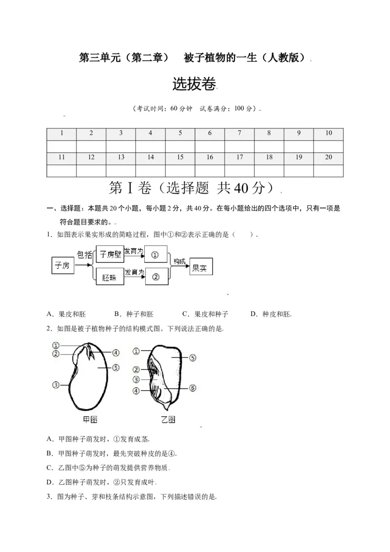 第3单元（第2章）被子植物的一生（选拔卷）（人教版）（原卷版）_初中全科电子版试卷练习试题_生物_生物人教版7上练习&mdash;24新版已更新_人教生物7年级上单元试卷36份