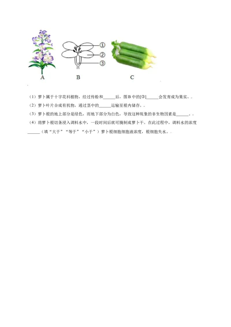 第3单元（第2章）被子植物的一生（选拔卷）（人教版）（原卷版）_初中全科电子版试卷练习试题_生物_生物人教版7上练习&mdash;24新版已更新_人教生物7年级上单元试卷36份