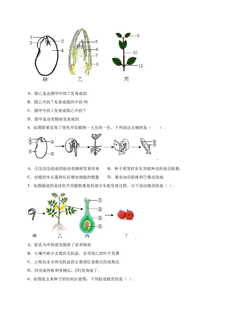 第3单元（第2章）被子植物的一生（选拔卷）（人教版）（原卷版）_初中全科电子版试卷练习试题_生物_生物人教版7上练习&mdash;24新版已更新_人教生物7年级上单元试卷36份