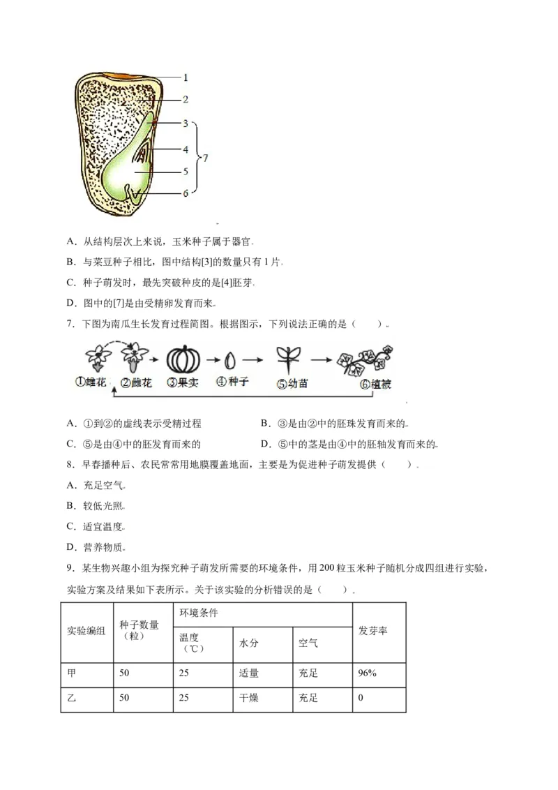 第3单元（第2章）被子植物的一生（选拔卷）（人教版）（原卷版）_初中全科电子版试卷练习试题_生物_生物人教版7上练习&mdash;24新版已更新_人教生物7年级上单元试卷36份