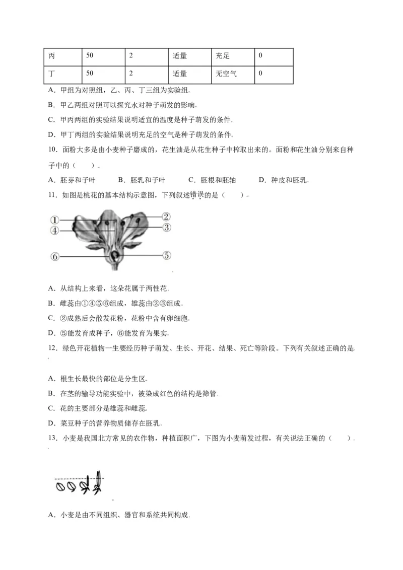 第3单元（第2章）被子植物的一生（选拔卷）（人教版）（原卷版）_初中全科电子版试卷练习试题_生物_生物人教版7上练习&mdash;24新版已更新_人教生物7年级上单元试卷36份
