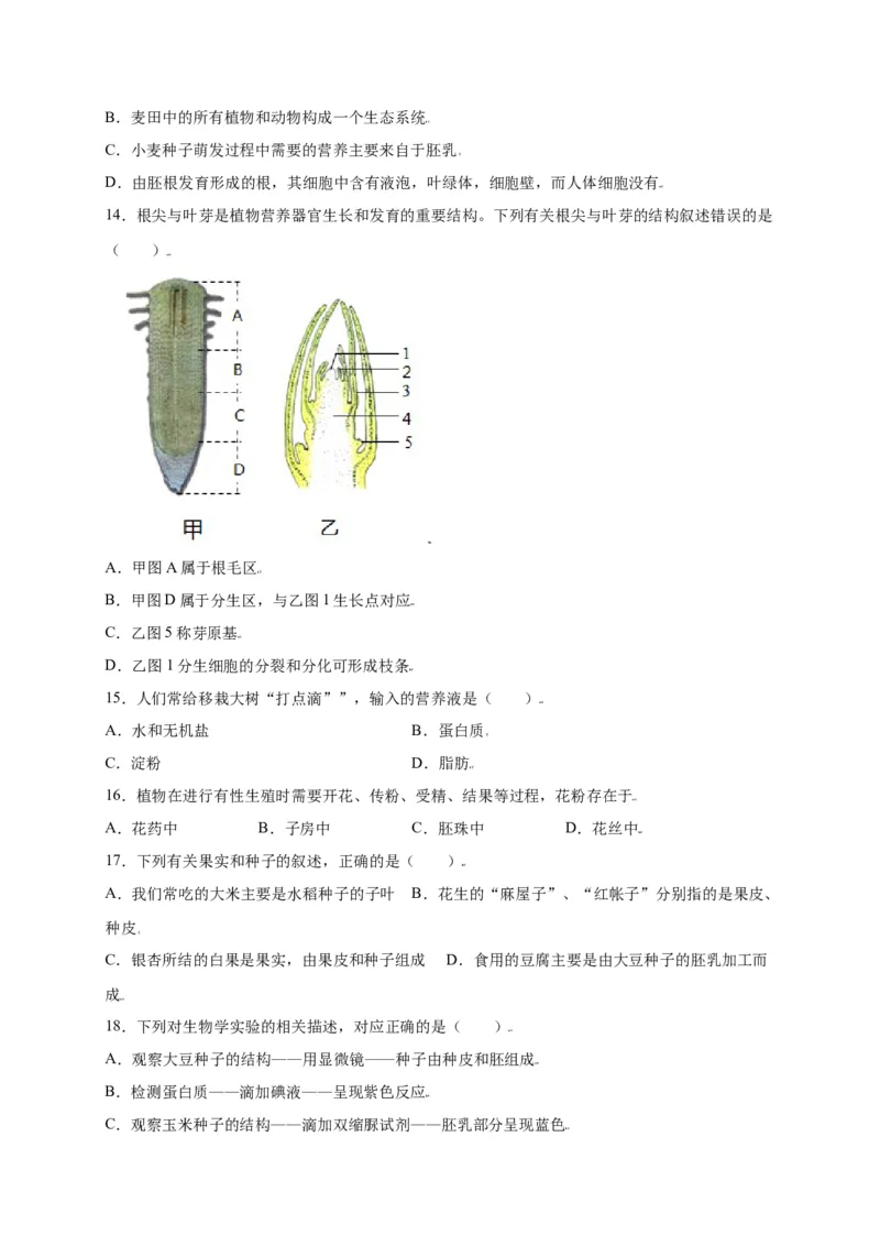 第3单元（第2章）被子植物的一生（选拔卷）（人教版）（原卷版）_初中全科电子版试卷练习试题_生物_生物人教版7上练习&mdash;24新版已更新_人教生物7年级上单元试卷36份