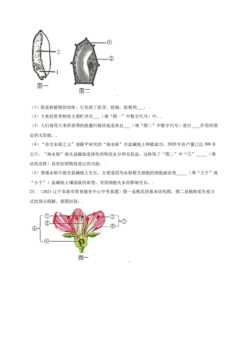 第3单元（第2章）被子植物的一生（选拔卷）（人教版）（原卷版）_初中全科电子版试卷练习试题_生物_生物人教版7上练习&mdash;24新版已更新_人教生物7年级上单元试卷36份