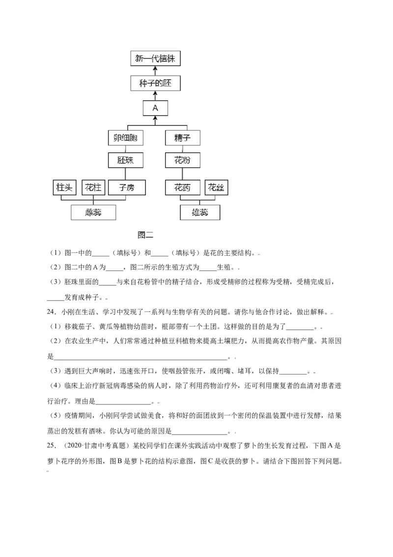 第3单元（第2章）被子植物的一生（选拔卷）（人教版）（原卷版）_初中全科电子版试卷练习试题_生物_生物人教版7上练习&mdash;24新版已更新_人教生物7年级上单元试卷36份