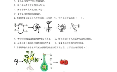 第3单元（第2章）被子植物的一生（选拔卷）（人教版）（原卷版）_初中全科电子版试卷练习试题_生物_生物人教版7上练习&mdash;24新版已更新_人教生物7年级上单元试卷36份