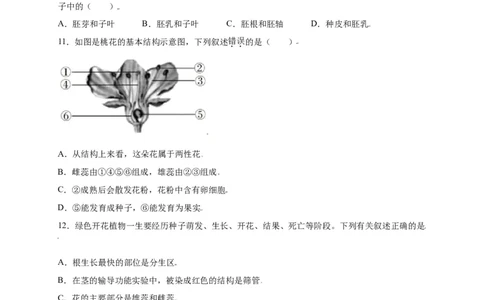 第3单元（第2章）被子植物的一生（选拔卷）（人教版）（原卷版）_初中全科电子版试卷练习试题_生物_生物人教版7上练习&mdash;24新版已更新_人教生物7年级上单元试卷36份
