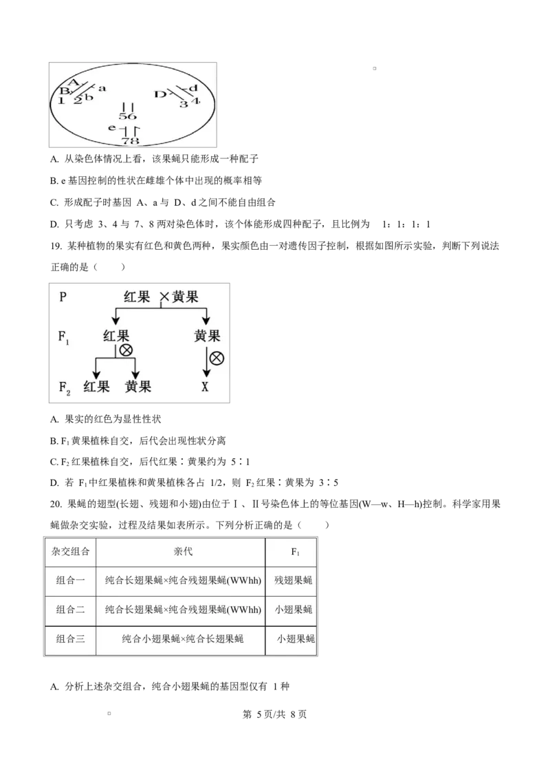内蒙古自治区赤峰市红山区赤峰第四中学2024-2025学年高一下学期4月月考生物试题Word版无答案_2025年05月试卷_0518内蒙古自治区赤峰市第四中学2024-2025学年高一下学期4月月考试题