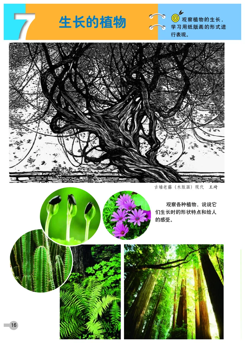 义务教育教科书&middot;美术四年级下册_电子课本_小学电子课本_07美术_浙人美版