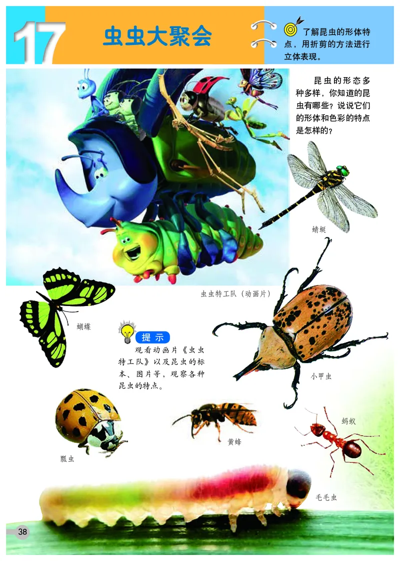 义务教育教科书&middot;美术四年级下册_电子课本_小学电子课本_07美术_浙人美版