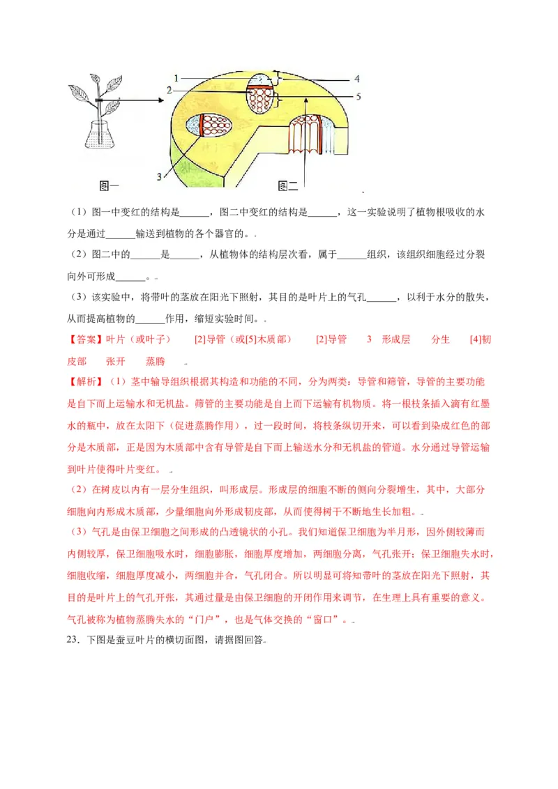 第3单元（第3章）绿色植物与生物圈的水循环（选拔卷）（人教版）（解析版）_初中全科电子版试卷练习试题_生物_生物人教版7上练习&mdash;24新版已更新