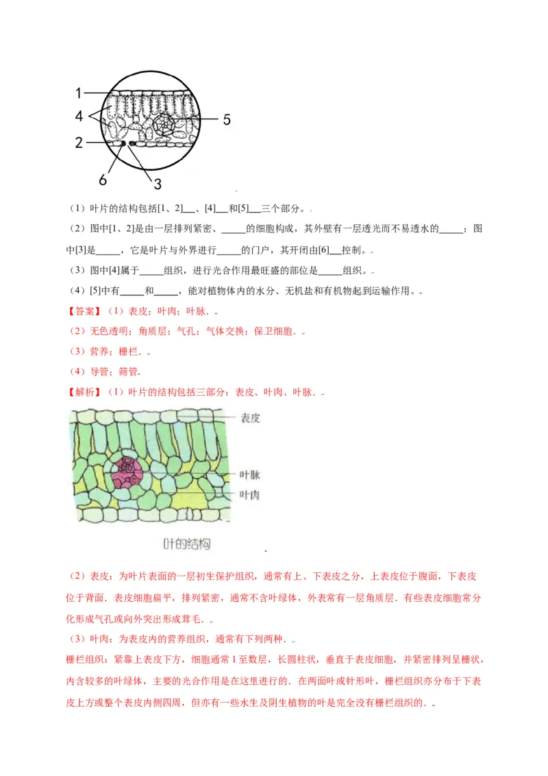 第3单元（第3章）绿色植物与生物圈的水循环（选拔卷）（人教版）（解析版）_初中全科电子版试卷练习试题_生物_生物人教版7上练习&mdash;24新版已更新