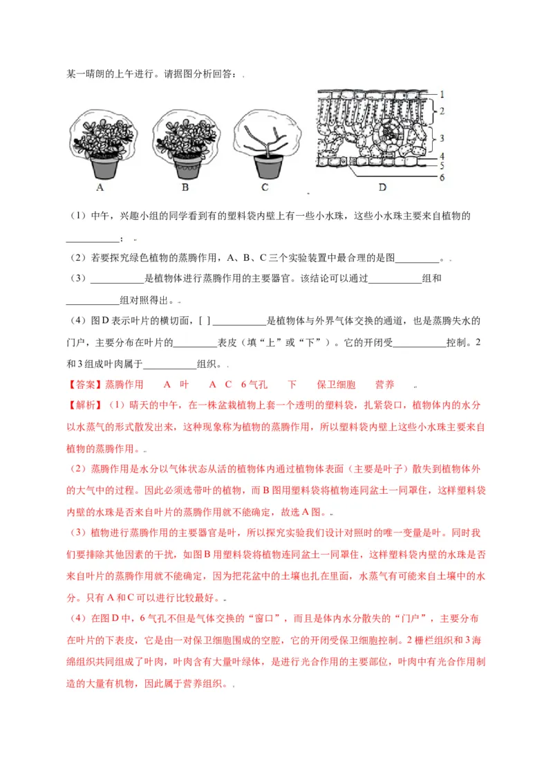 第3单元（第3章）绿色植物与生物圈的水循环（选拔卷）（人教版）（解析版）_初中全科电子版试卷练习试题_生物_生物人教版7上练习&mdash;24新版已更新