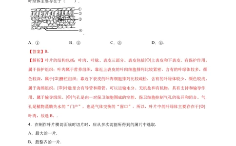第3单元（第3章）绿色植物与生物圈的水循环（选拔卷）（人教版）（解析版）_初中全科电子版试卷练习试题_生物_生物人教版7上练习&mdash;24新版已更新