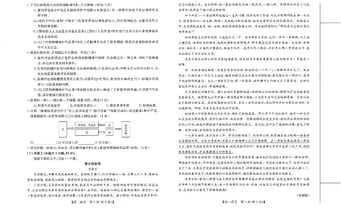 北海2025-2026秋季期末高一语文试卷_2026年02月高一试卷_260210广西壮族自治区北海市2025-2026学年高一上学期期末教学质量检测（全）