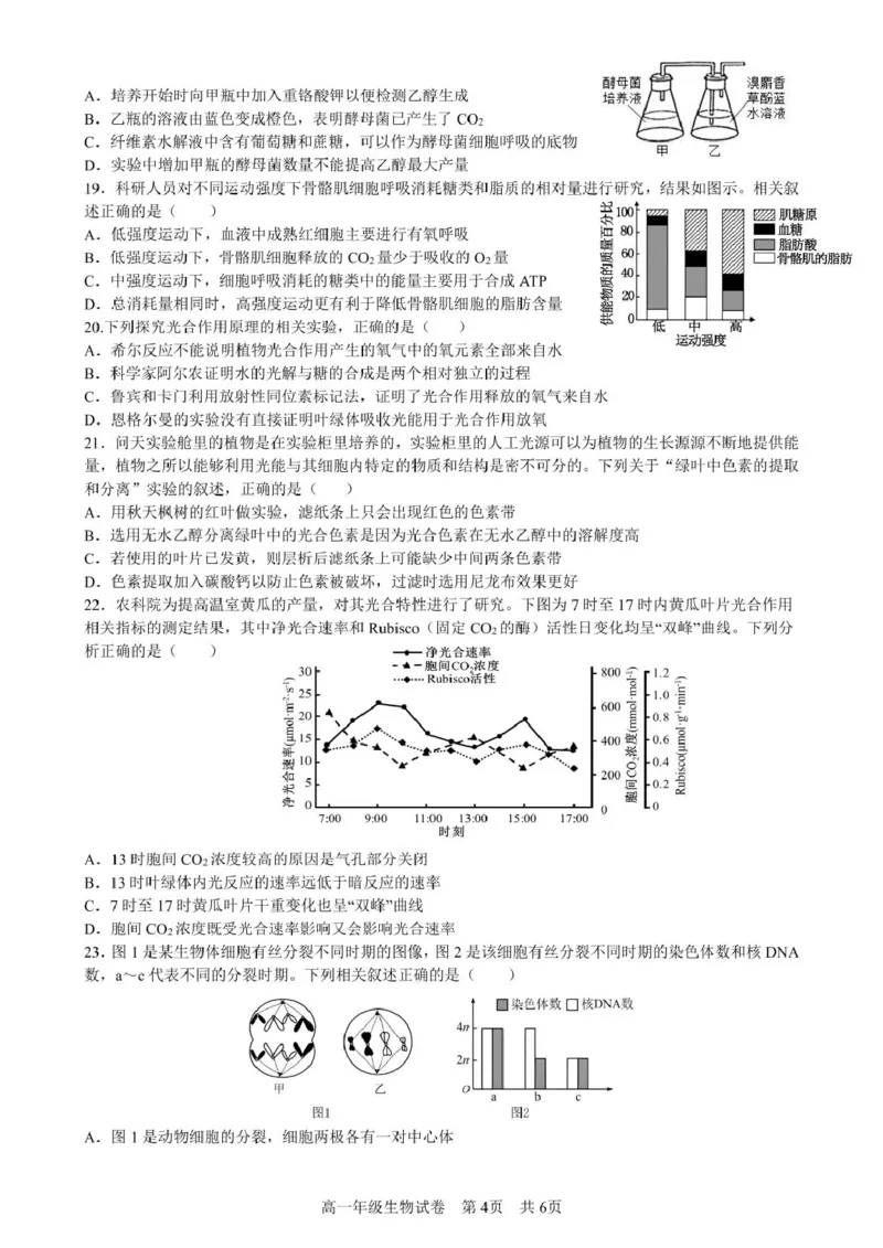 合肥六校联盟2024-2025学年第一学期期末联考高一年级生物生物试卷_2025年02月试卷_0224安徽省合肥市六校联盟2024-2025学年高一上学期1月期末考试