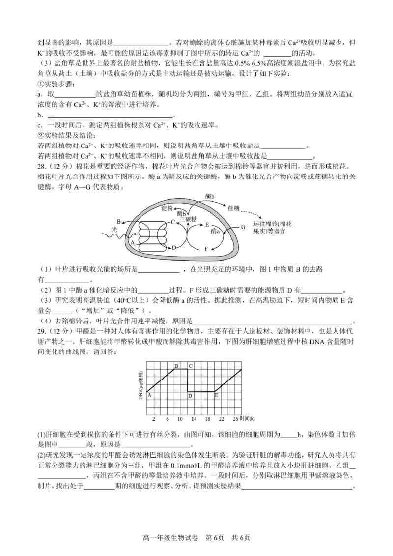 合肥六校联盟2024-2025学年第一学期期末联考高一年级生物生物试卷_2025年02月试卷_0224安徽省合肥市六校联盟2024-2025学年高一上学期1月期末考试